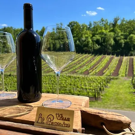 Il Signorino Lucolena in Chianti